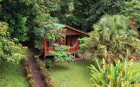 Cataratas Bijagua Lodge